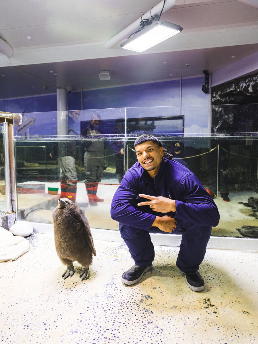 Sydney Kings tweet media