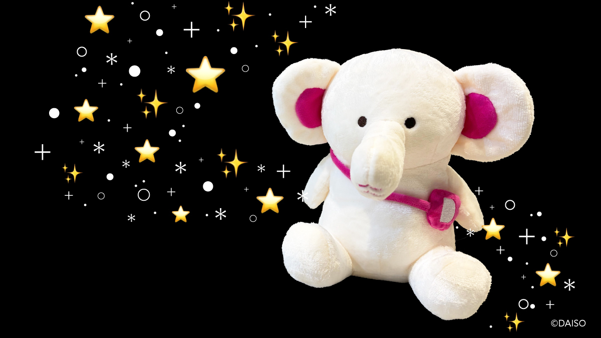 DAISO 【公式】 tweet media