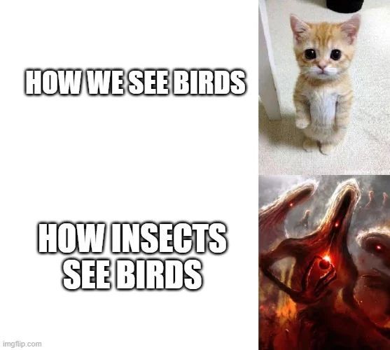 GeekedMemes's tweet photo. https://t.co/uszDQosba7
