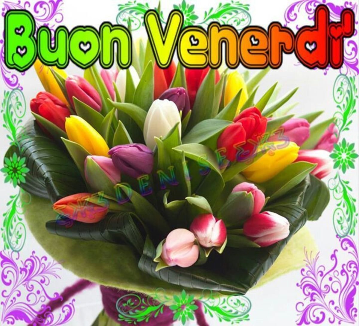 Stefania S. tweet media