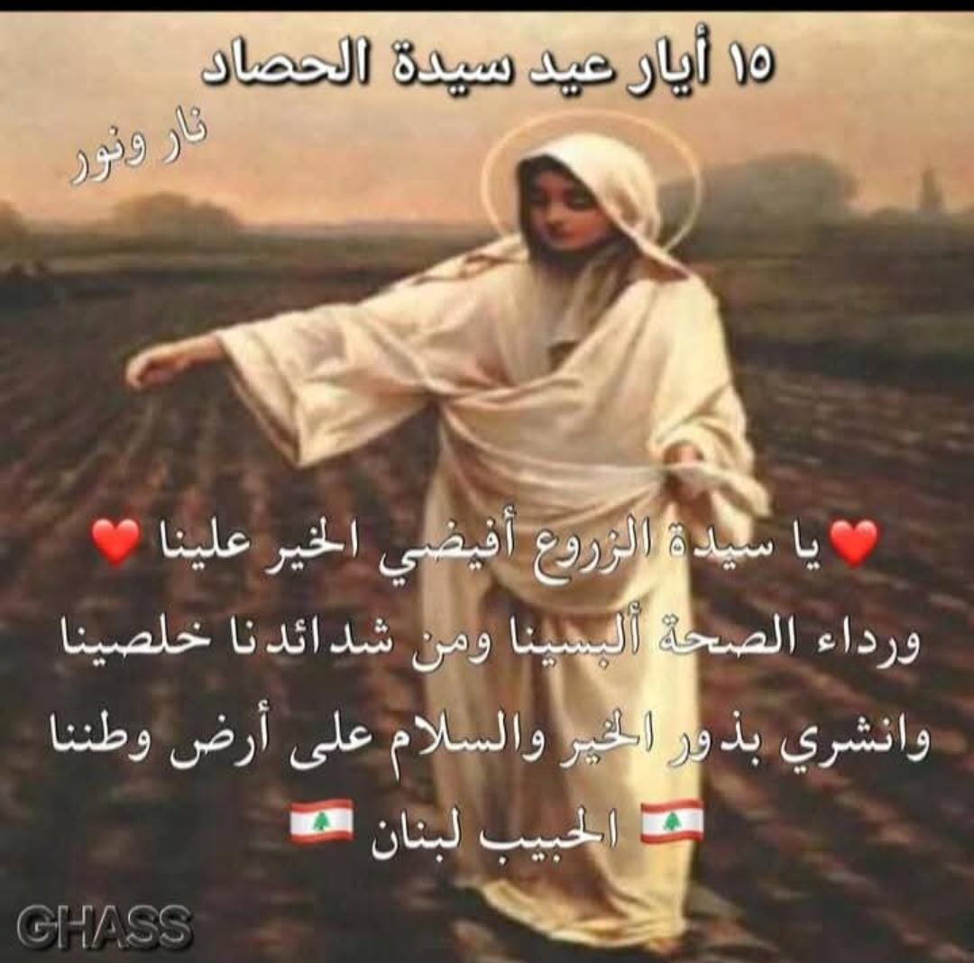 Elie salem tweet media