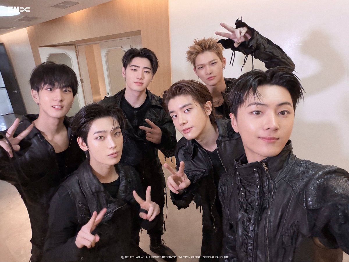 폭스 tweet media