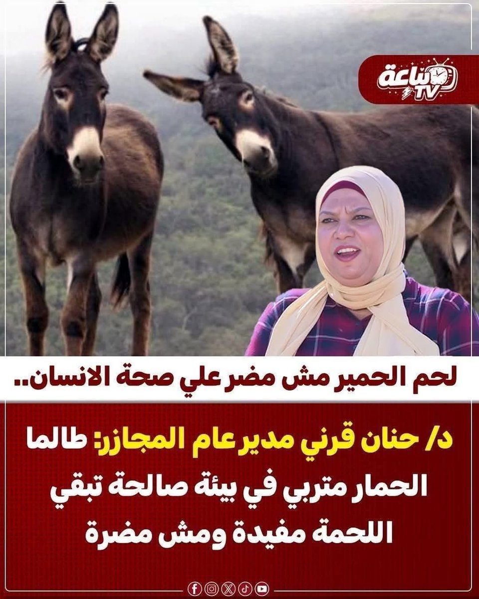 عقيًل بن محمد العقيًل( أبو أنس) tweet media