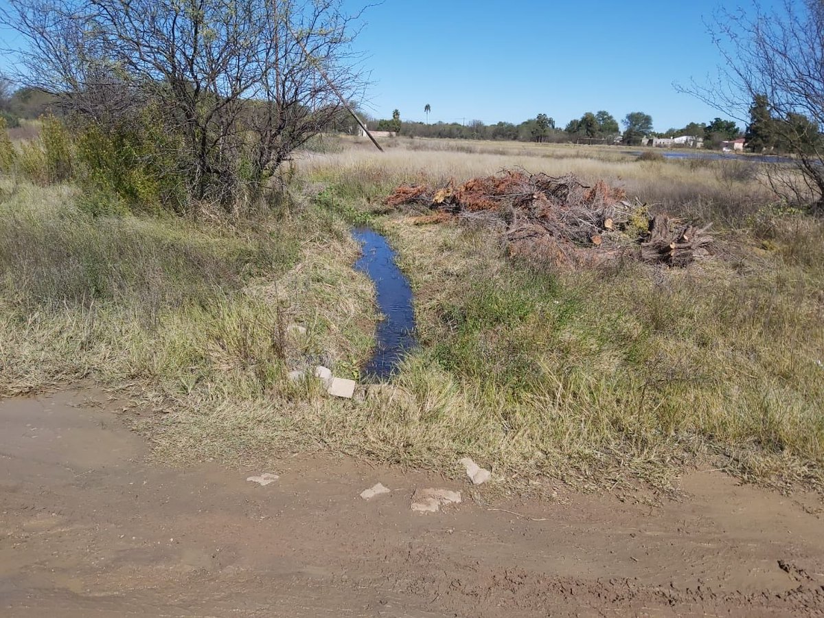 LizeMariSmt's tweet photo. AfriForum’s Delportshoop branch repaired roads in Sering Street and Brits Street after severe flood damage. The project included 13 tons of rock, 6 tons of gravel and improved drainage infrastructure to restore safer access for residents. #AfriForum #CommunityAction #FloodRelief https://t.co/zFOdy2zA5S