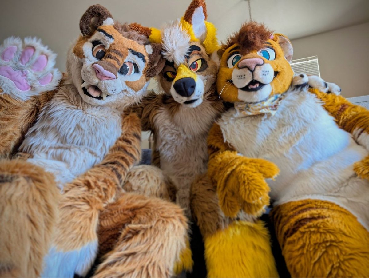 Mustard Yapper 🛩️ FWA / BFC tweet media