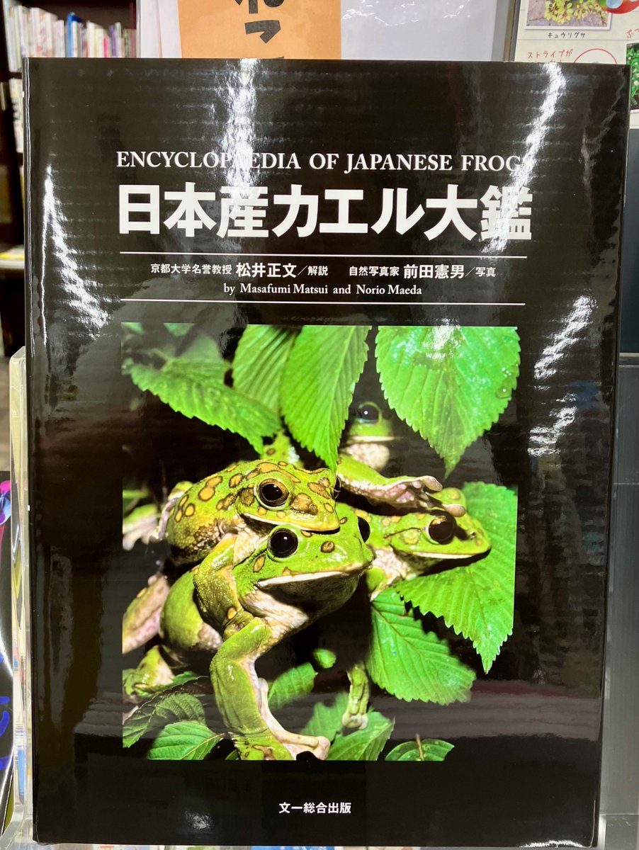 4階］「日本産カエル大観」文一総合出版￥30,800 『日本カエル図鑑