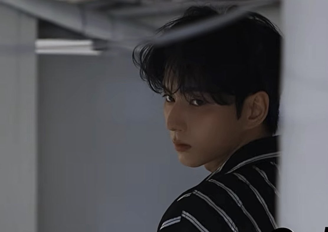오드로디테 tweet media