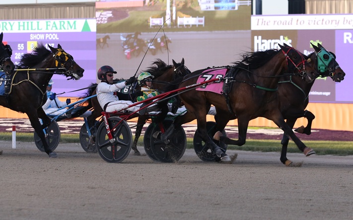 IndianaHarness's tweet photo. Ponda Swan, driven by Marcus Miller, wins first race of 2026 for Trainer Ryan Bellamy, who had two wins on the Thursday, May 14 racing program at Harrah's Hoosier Park: https://t.co/wA7mip8aGx  Photo by Dean Gillette  #racelikeahoosier @harnessindiana @INStandardbred https://t.co/ILW8JGiOkm