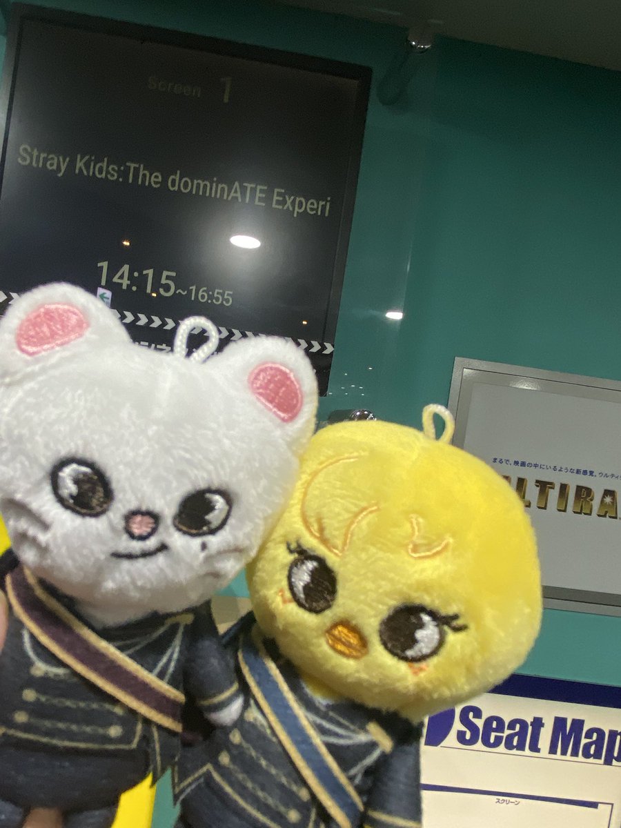 💙ぴよぴよ💙🐈⬛ tweet media