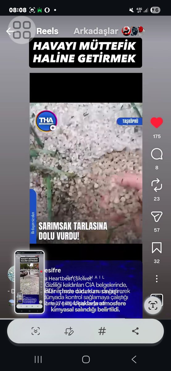 🇹🇷 Zeynep Albayrak tweet media