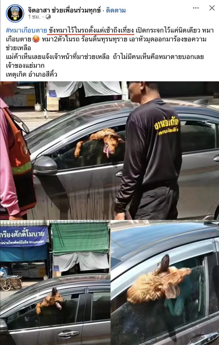 Kawaaii tweet media