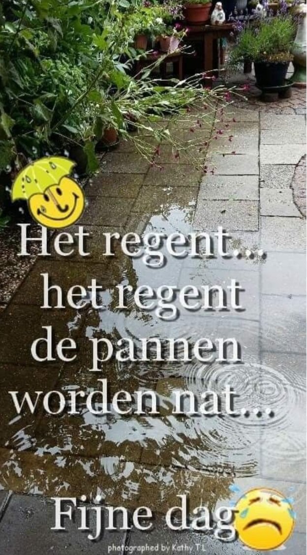 🌞Henk🏖 tweet media