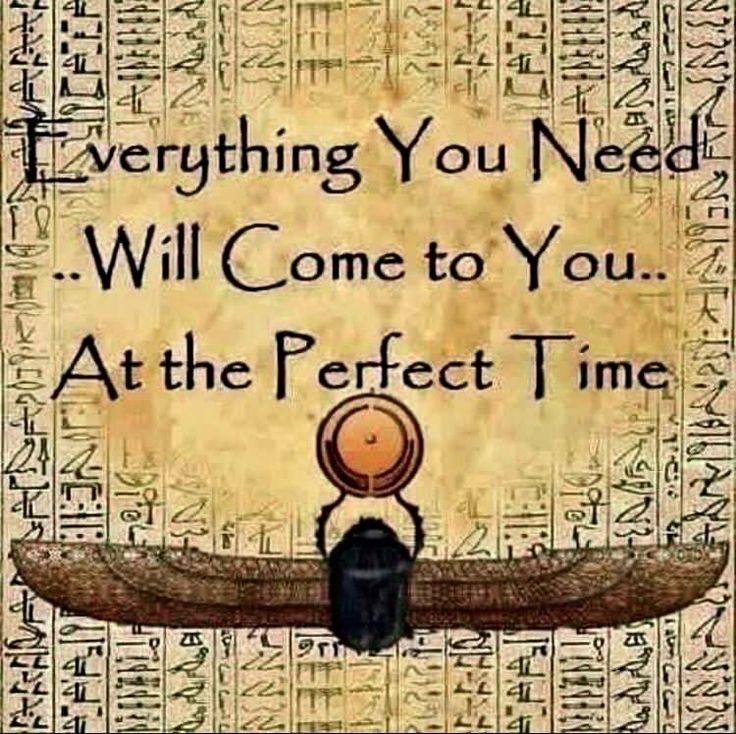 Priety` 🪷 tweet media