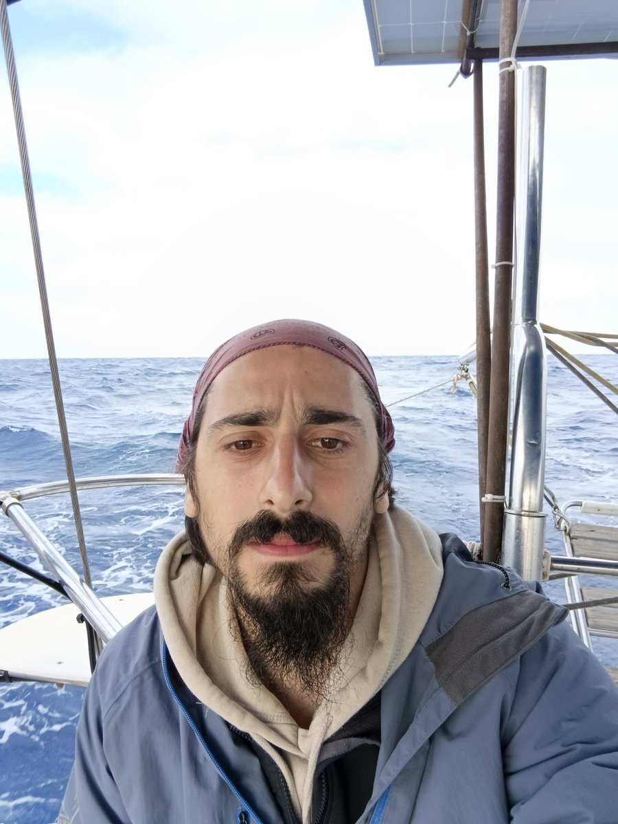 Mehmet Harput tweet media