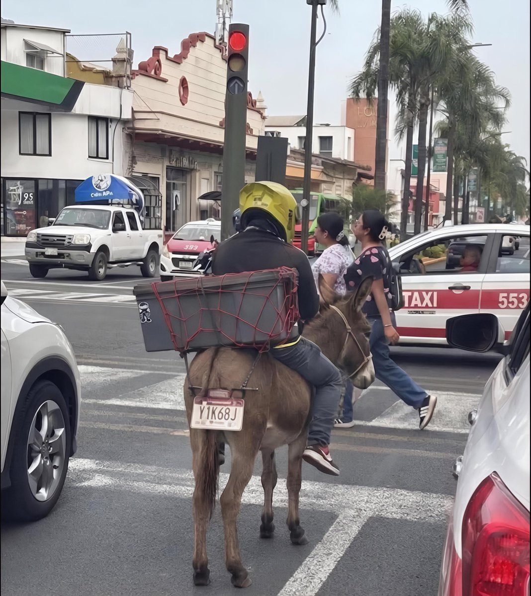 mx_o_ia's tweet photo. ¿México o IA? https://t.co/tPvEpgRhdL