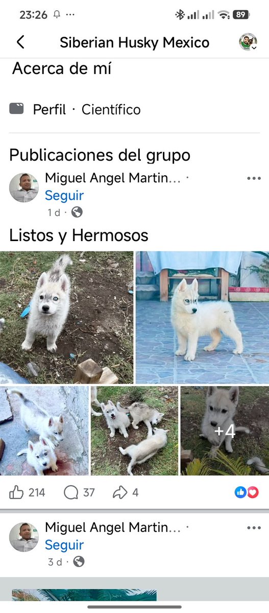 Adopta Esteriliza y Apadrina tweet media