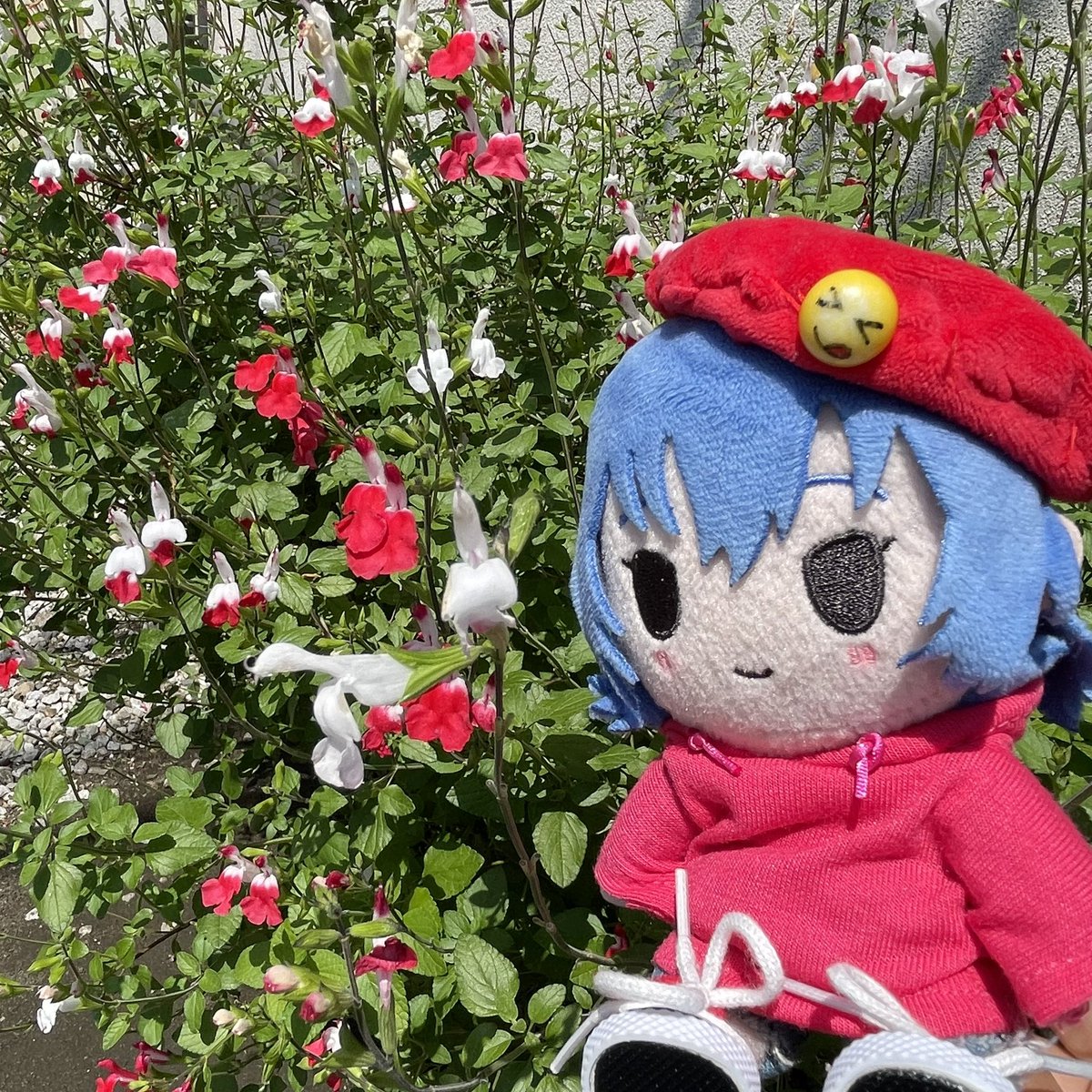 今日もウチの鈴ヶ森さんは可愛い🥰 #ざつ旅 #鈴ヶ森ちか #ぬいヶ森さん