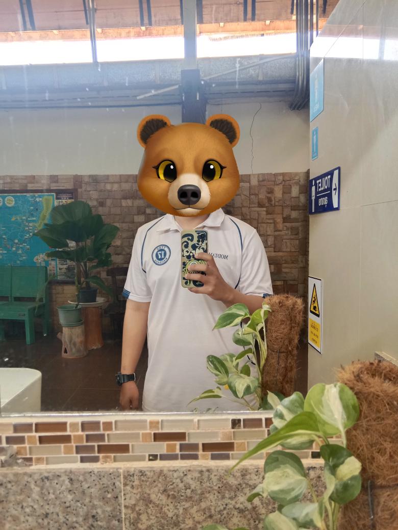 หมี tweet media