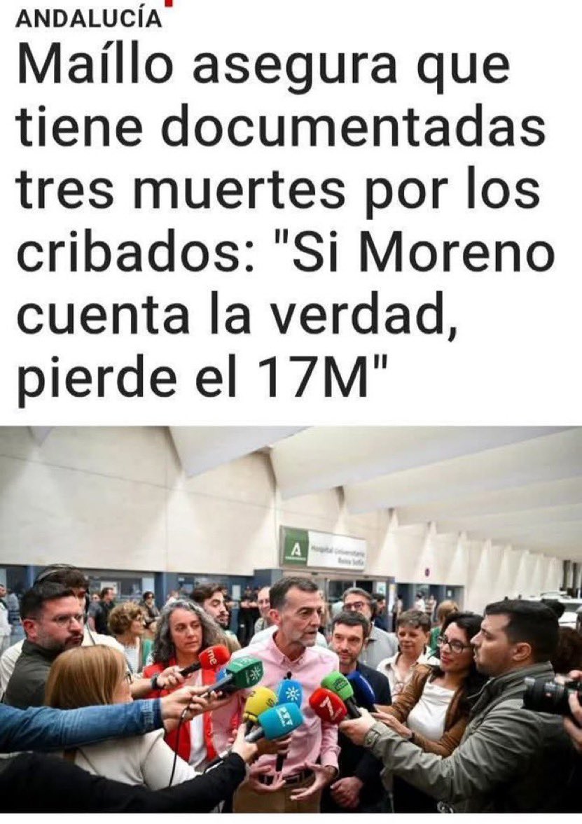 Pilar tweet media