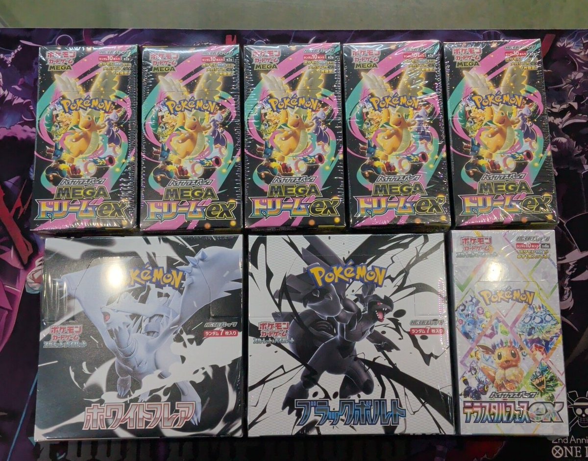 🫵BOX入荷情報🫵 メガドリーム ホワイトフレア ブラックボルト テラス