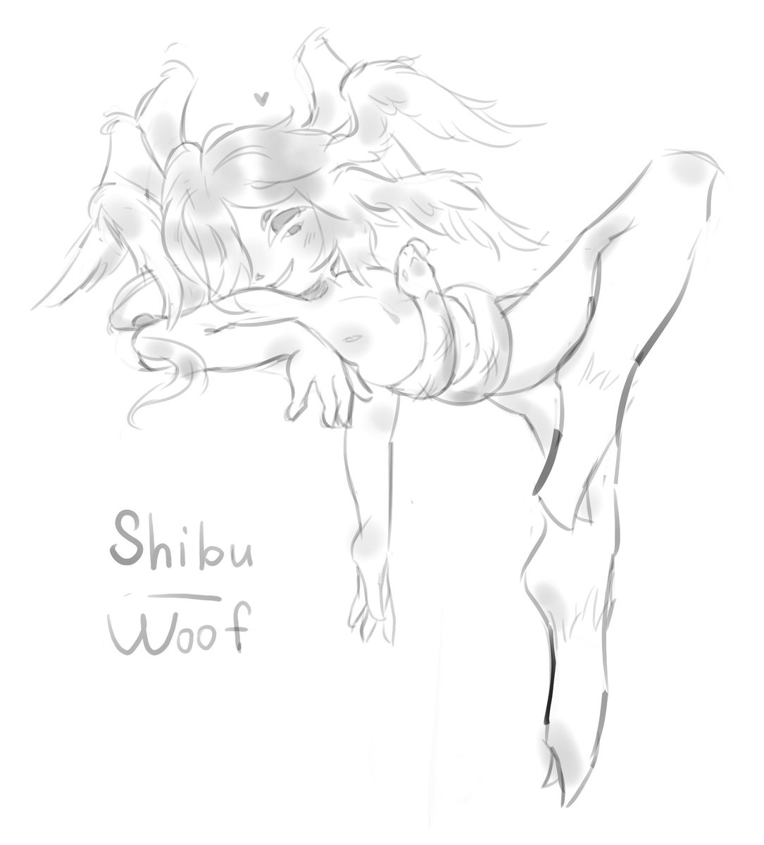 Shibu! tweet media