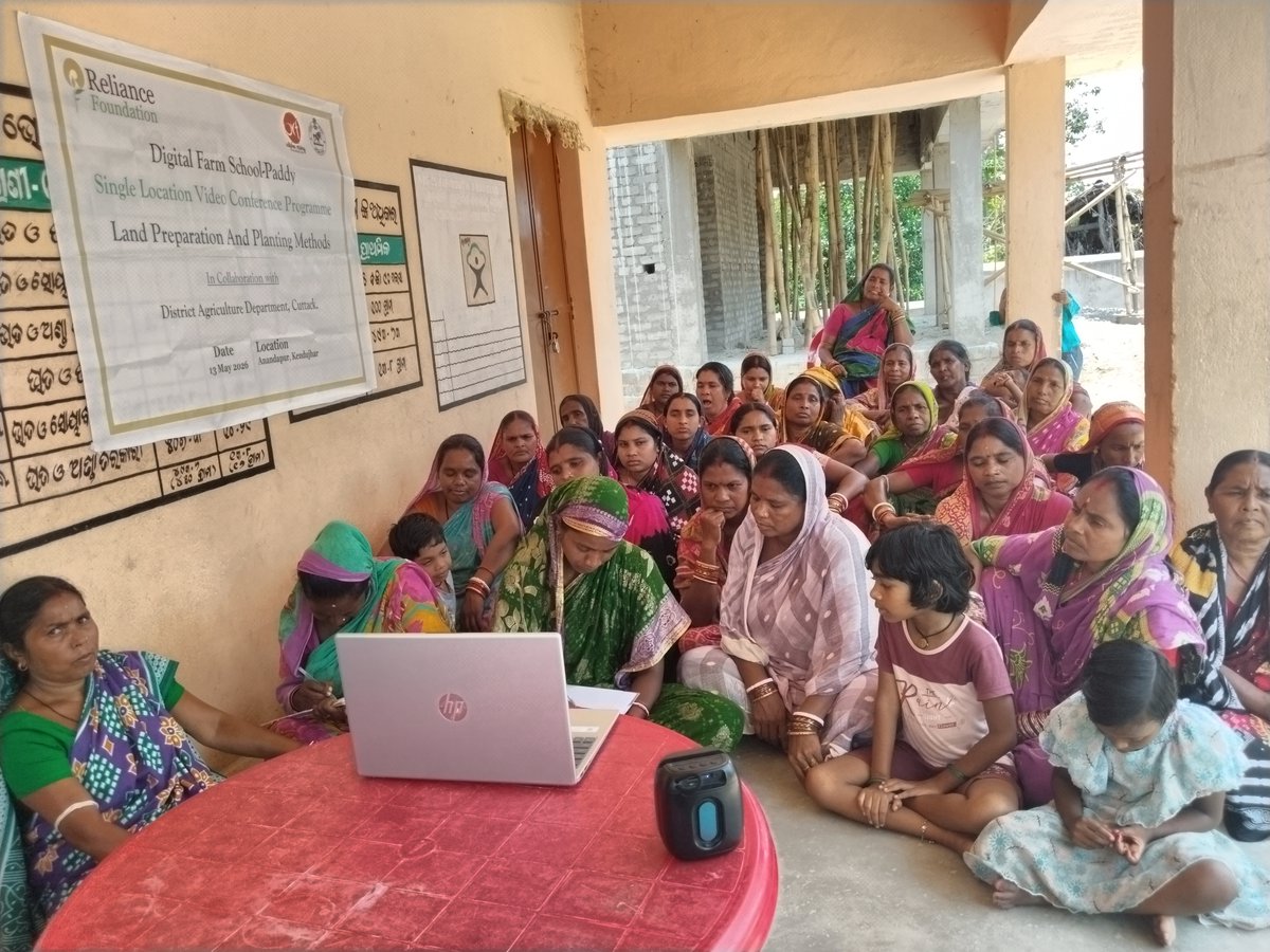 OdishaOrf's tweet photo. The Digital Farm School Video Conference on “Land Preparation and Planting Methods” was conducted in Anandapur Block, Kendujhar. 
Scientist Arabinda Sahoo interacted with farmers on scientific paddy cultivation practices.
@krushibibhag @ril_foundation @CMO_Odisha https://t.co/JmccxY8vII