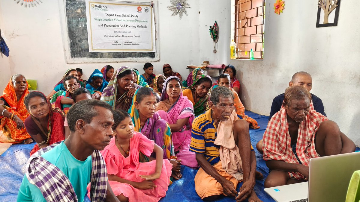 OdishaOrf's tweet photo. The Digital Farm School Video Conference on “Land Preparation and Planting Methods” was conducted in Anandapur Block, Kendujhar. 
Scientist Arabinda Sahoo interacted with farmers on scientific paddy cultivation practices.
@krushibibhag @ril_foundation @CMO_Odisha https://t.co/JmccxY8vII