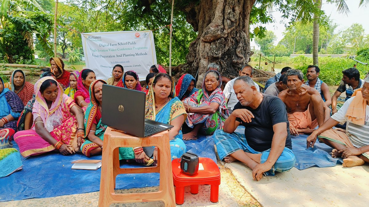 OdishaOrf's tweet photo. The Digital Farm School Video Conference on “Land Preparation and Planting Methods” was conducted in Anandapur Block, Kendujhar. 
Scientist Arabinda Sahoo interacted with farmers on scientific paddy cultivation practices.
@krushibibhag @ril_foundation @CMO_Odisha https://t.co/JmccxY8vII