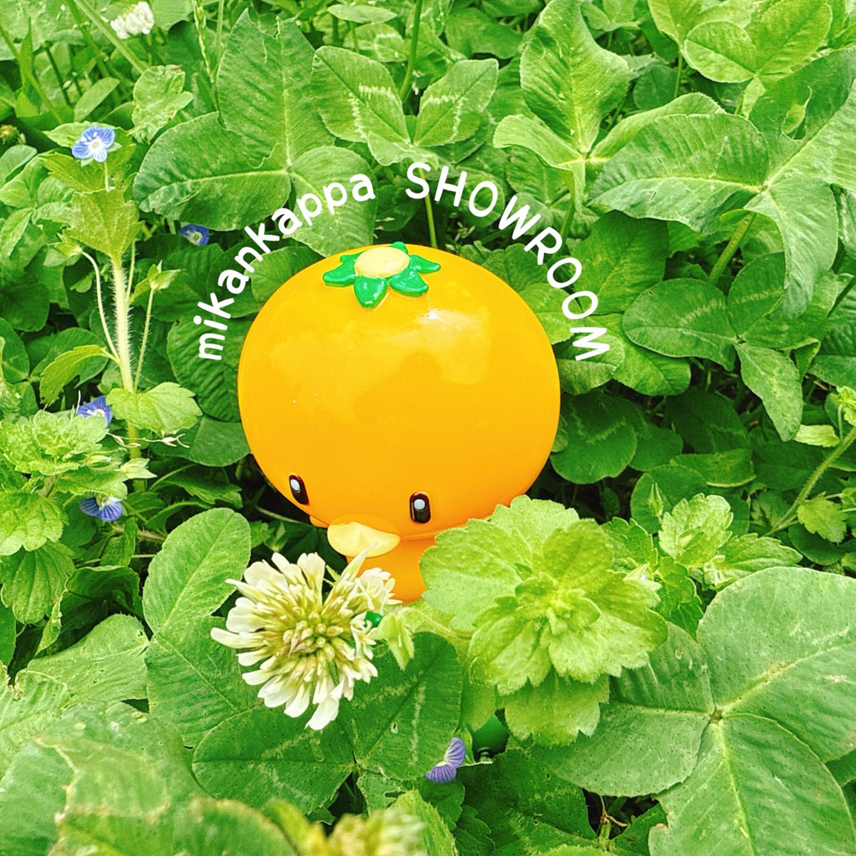 こんにちは🍊 5月15日金曜日、SHOWROOM、オープンしました✨ 本日も