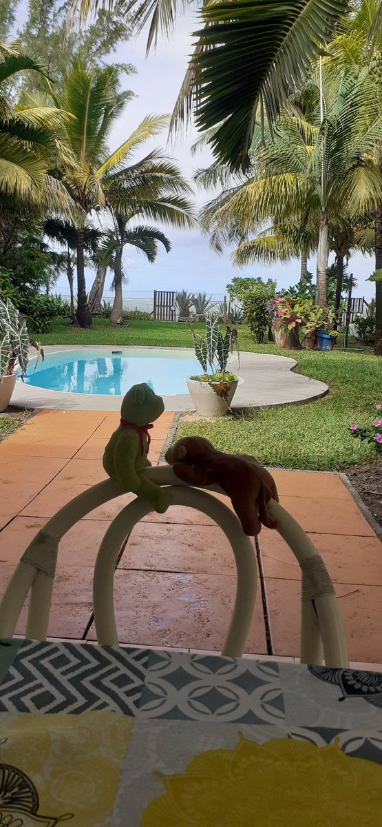Maisie Monkey tweet media