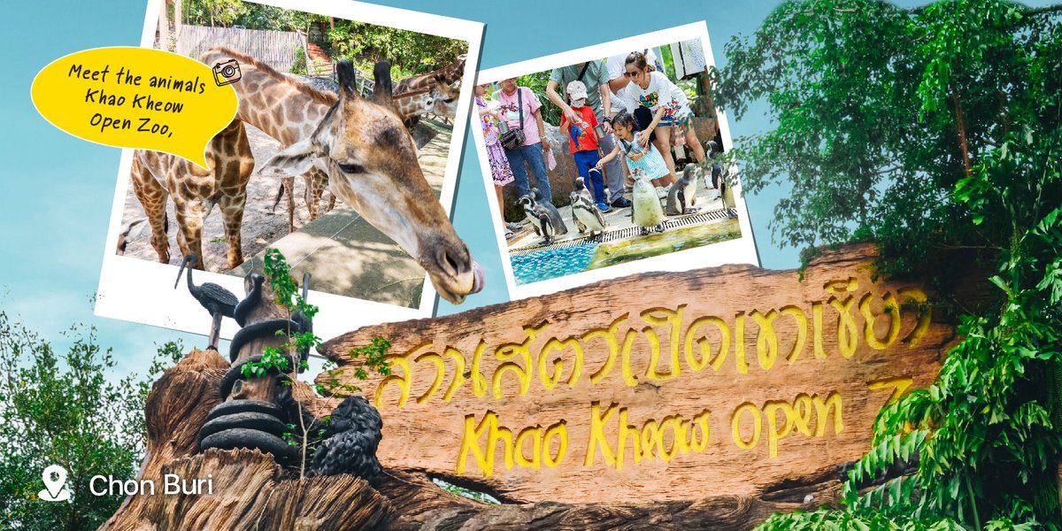 AmazingThailand tweet media