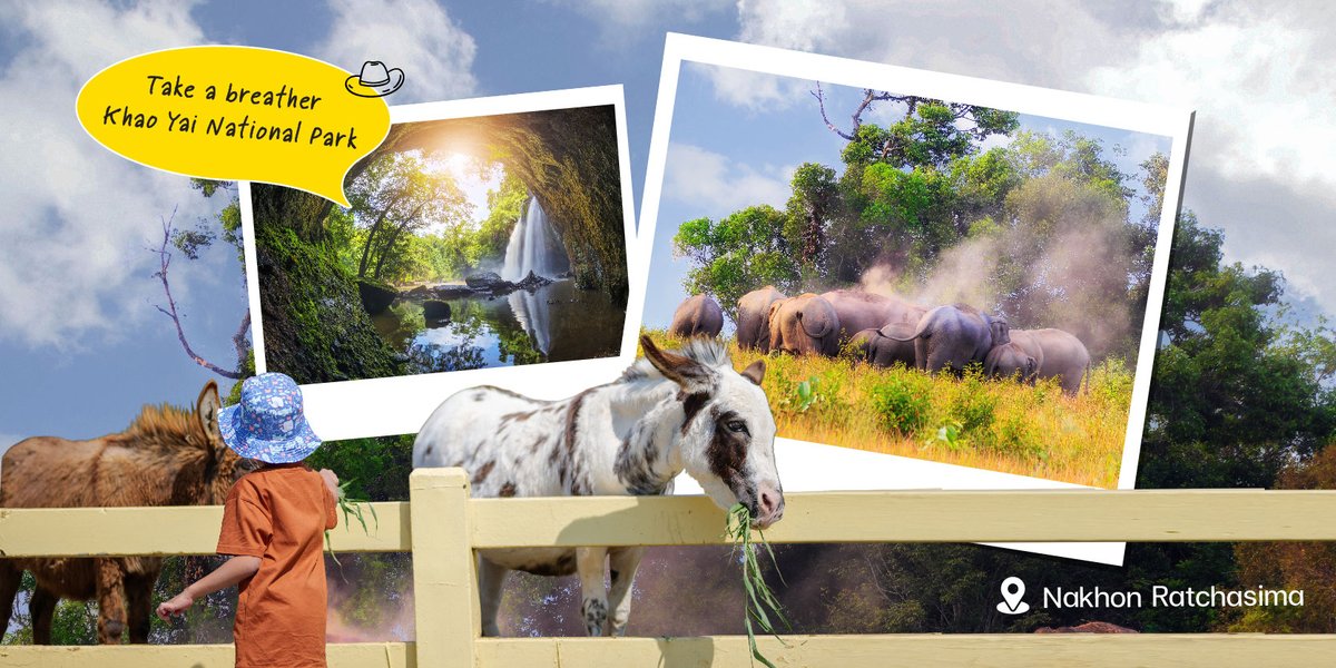 AmazingThailand tweet media