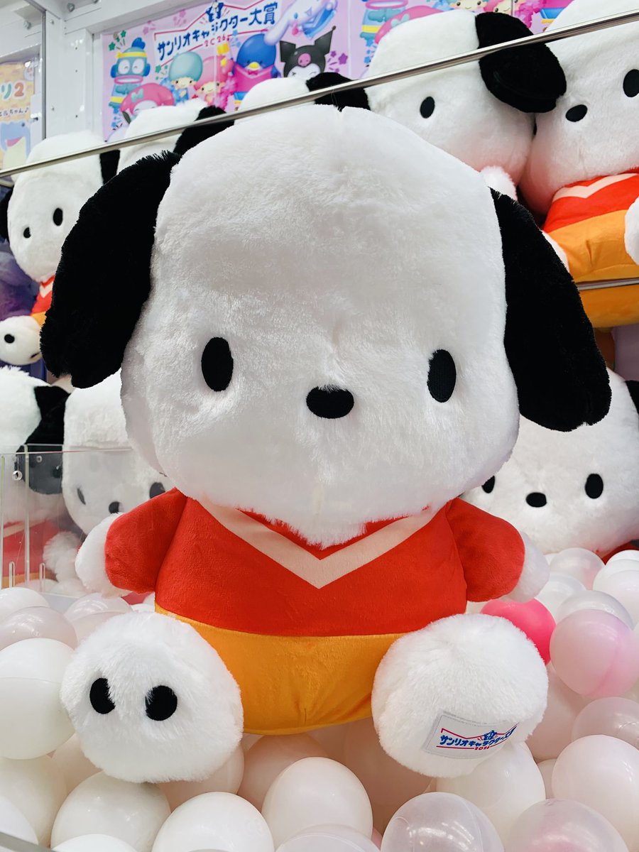 🆕景品入荷情報🆙 本日、当店に 「#ポチャッコ キャラクター大賞2026超