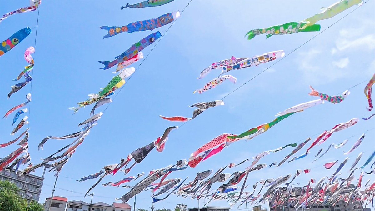 FUayusakai's tweet photo. 【圧巻】1000匹のこいのぼりが空を舞う！第34回こいのぼりフェスタ1000【2026年5月2日】
https://t.co/5fb5N4IaOD

#こいのぼり #鯉のぼり #こいのぼりフェスタ #春の絶景 #GW #散歩動画 #Vlog #日本の風景 #癒し動画 #イベント
#Koinobori #Japan #JapanVlog #SpringInJapan #WalkingTour https://t.co/HXAnZVG8MX