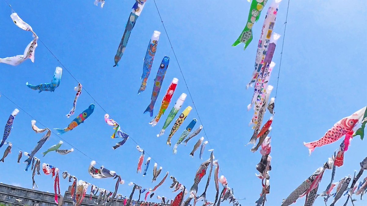 FUayusakai's tweet photo. 【圧巻】1000匹のこいのぼりが空を舞う！第34回こいのぼりフェスタ1000【2026年5月2日】
https://t.co/5fb5N4IaOD

#こいのぼり #鯉のぼり #こいのぼりフェスタ #春の絶景 #GW #散歩動画 #Vlog #日本の風景 #癒し動画 #イベント
#Koinobori #Japan #JapanVlog #SpringInJapan #WalkingTour https://t.co/HXAnZVG8MX