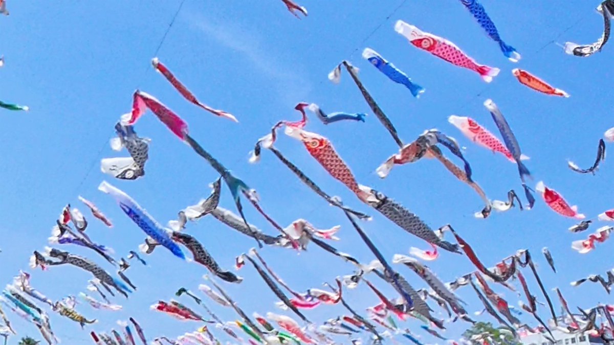 FUayusakai's tweet photo. 【圧巻】1000匹のこいのぼりが空を舞う！第34回こいのぼりフェスタ1000【2026年5月2日】
https://t.co/5fb5N4IaOD

#こいのぼり #鯉のぼり #こいのぼりフェスタ #春の絶景 #GW #散歩動画 #Vlog #日本の風景 #癒し動画 #イベント
#Koinobori #Japan #JapanVlog #SpringInJapan #WalkingTour https://t.co/HXAnZVG8MX