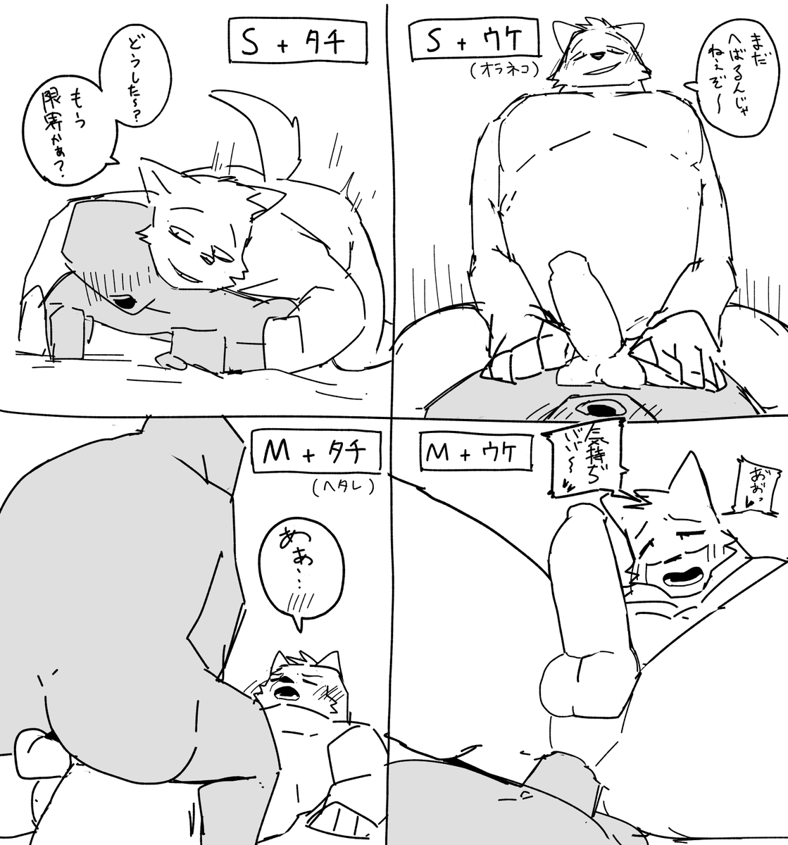 sigma0109's tweet photo. どの組み合わせが好き？？ https://t.co/wTz1nP7GTf