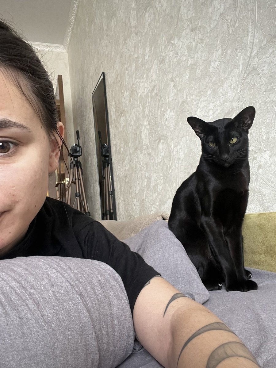 злюка невозможная tweet media