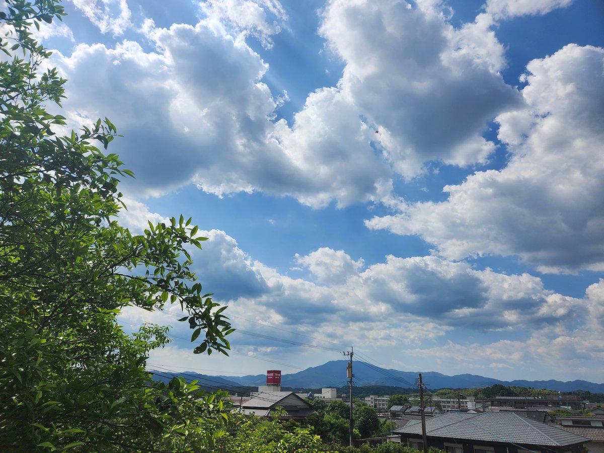 nonnbiritotoro's tweet photo. #イマソラ
我が家の梅 https://t.co/Y5y72x7Fvz