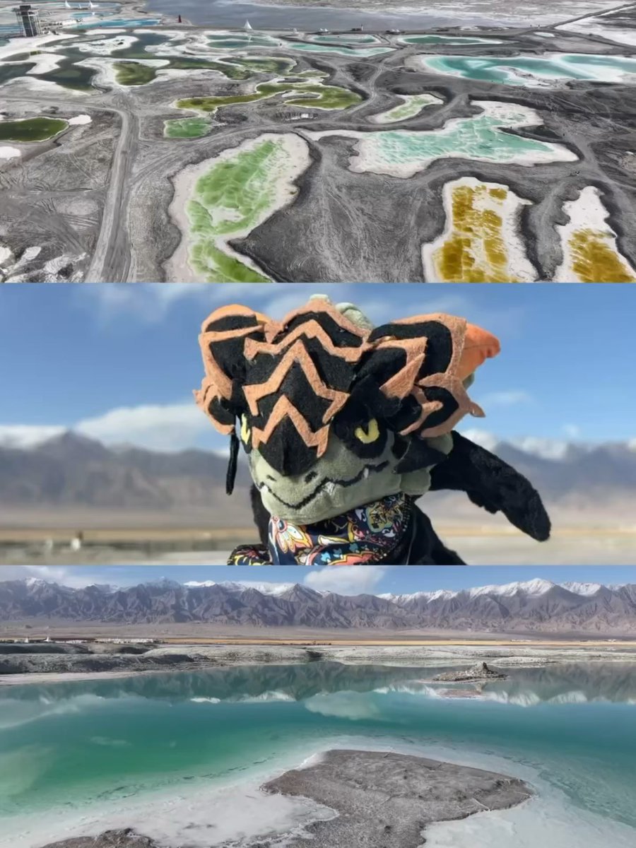 OpticalRotation's tweet photo. My travel companion
Our trip is coming to an end, and we’re about to leave this colourful place XD https://t.co/DBACkhvvtS