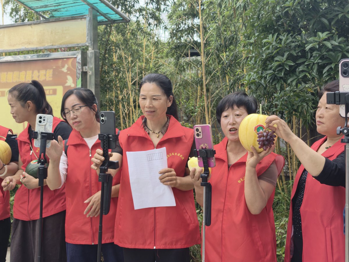 Shaanxi Plus tweet media