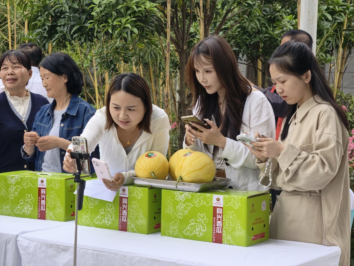 Shaanxi Plus tweet media