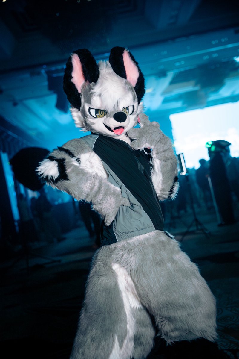 Charmant-夏蒙🔜FurryMosa tweet media