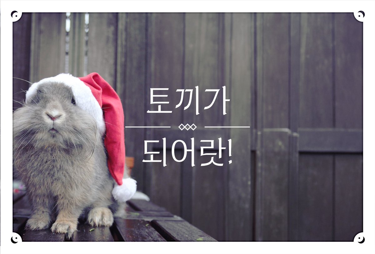 문호 한국지부 정기 총회 tweet media