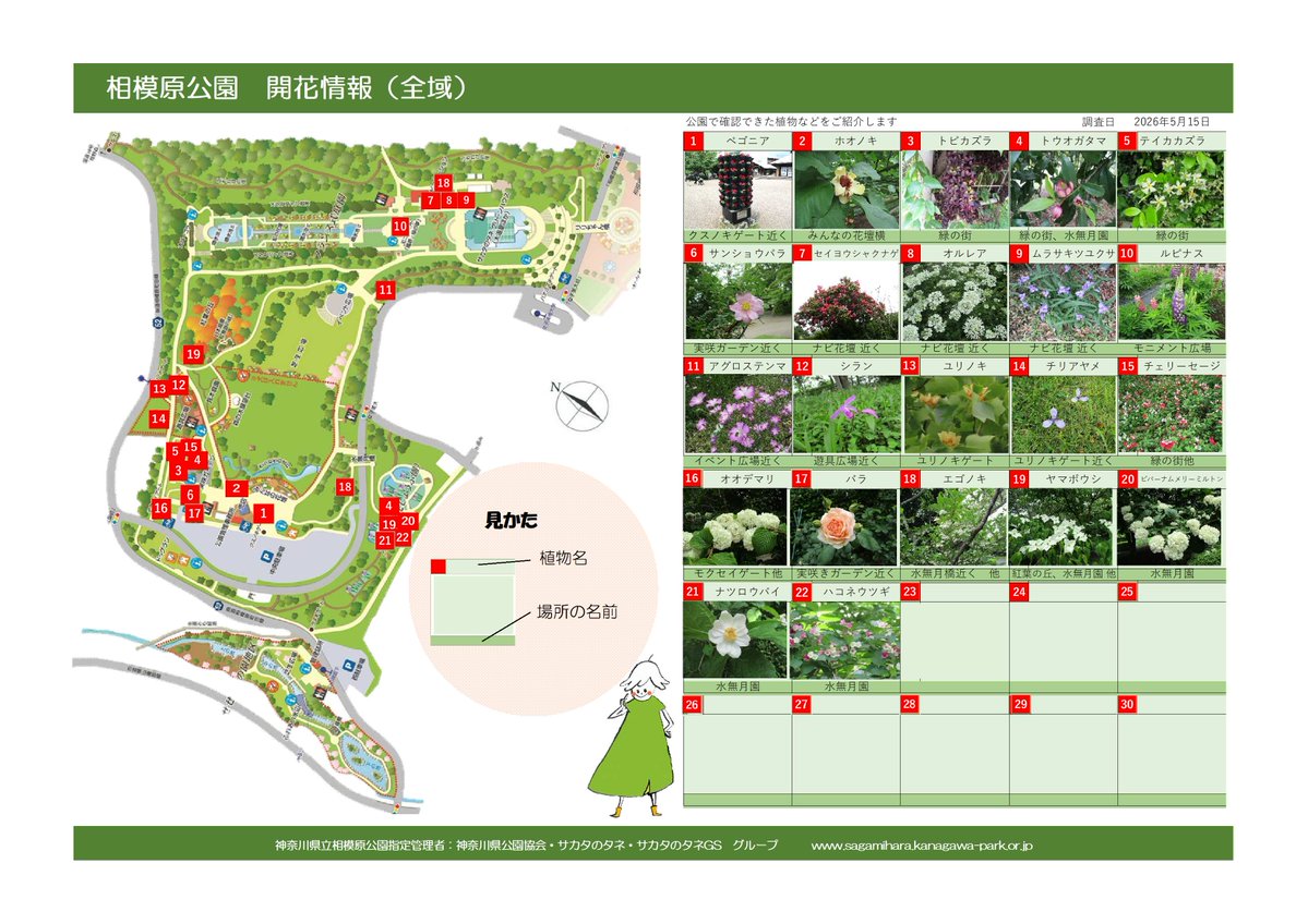 相模原公園 tweet media