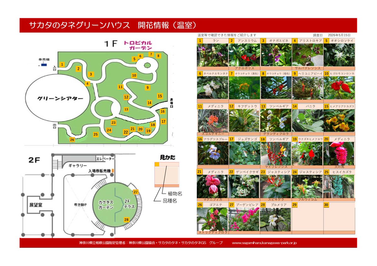 相模原公園 tweet media