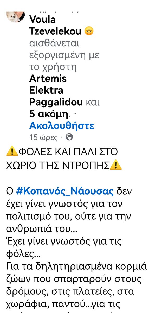 Christinaliroudia tweet media