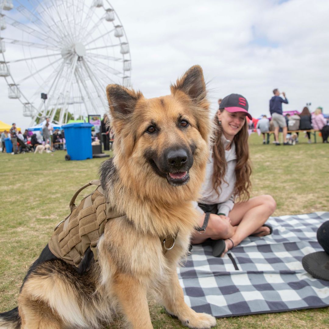 The Parks Trust tweet media