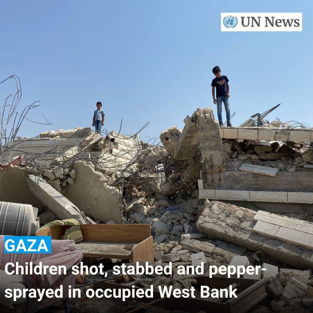 United Nations Geneva tweet media