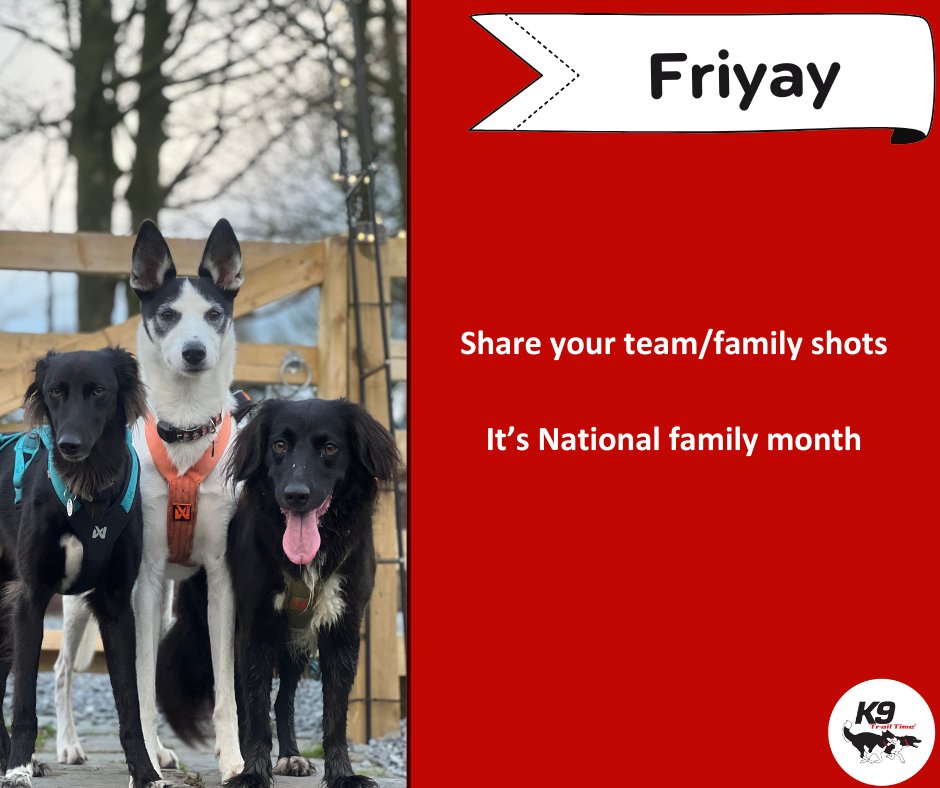 K9TrailTime's tweet photo. It's Friyay

Let's see those Family/Team photos

#k9trailtime#activedogsarehappydogs#weekenddogs#canicross#runningwithdogs#funonfriday#canicrossdog https://t.co/40CNVAJegg